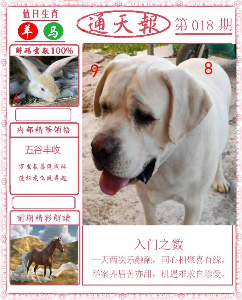 018期正版通天报[图]