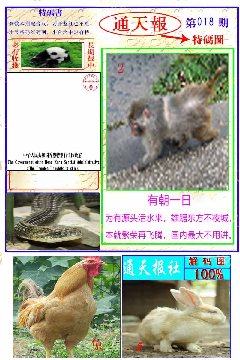 018期通天特解图[图]