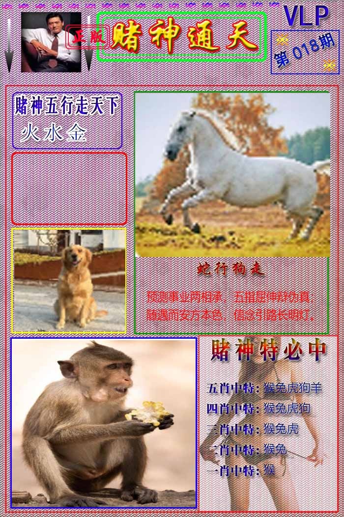 018期赌神通天报[图]