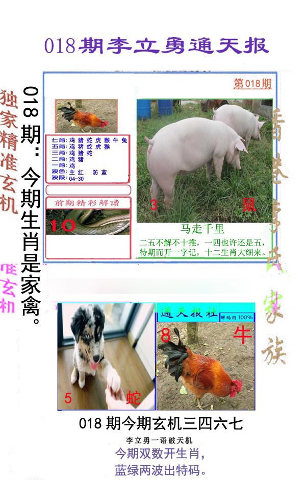 018期李立勇通天报[图]