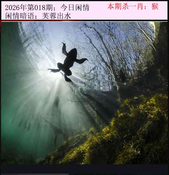 018期今日闲情[图]